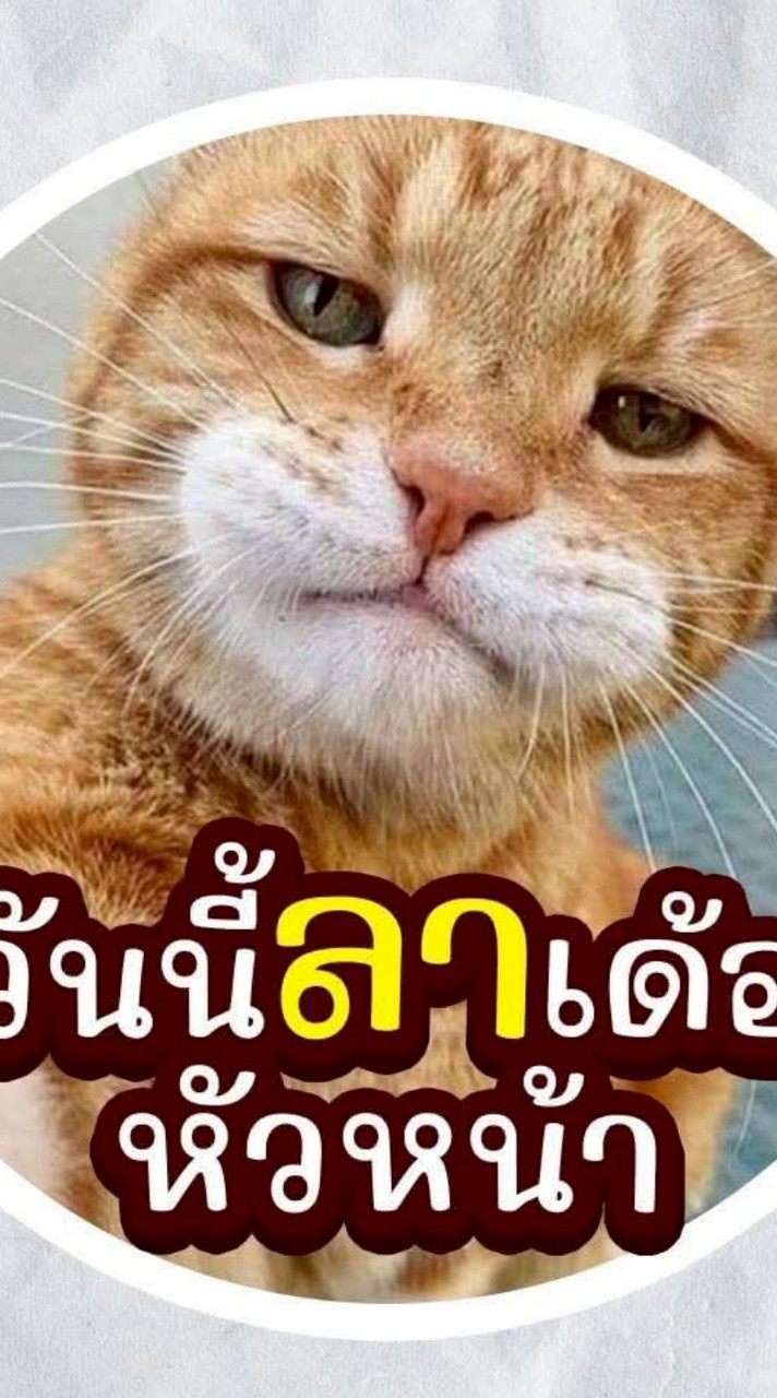 ขนมเพื่อนบ้านอร๊อยอร่อย