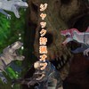 ジュラシックブロック　ジャック狩猟チーム