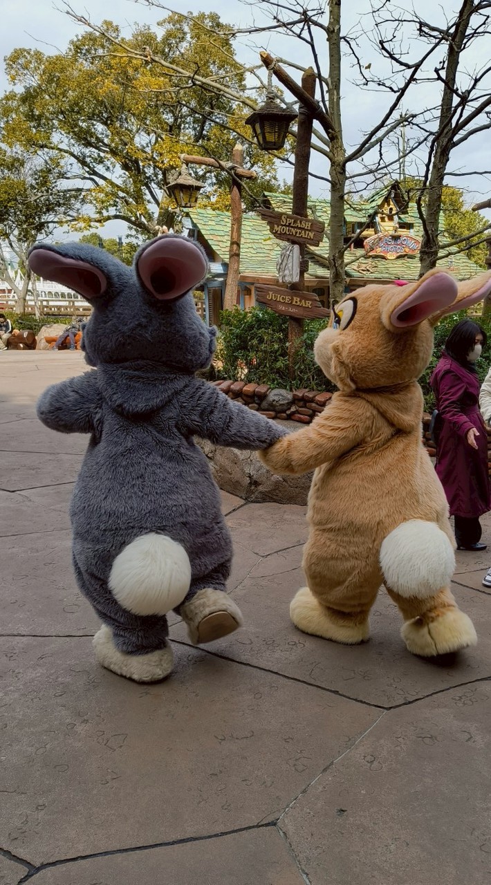 【#TDR_now】ディズニー混雑/最新情報/レポート