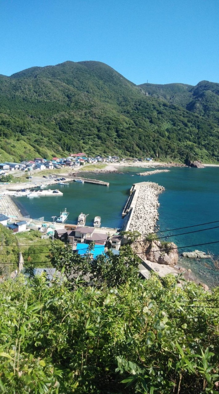 加茂青砂開墾教室