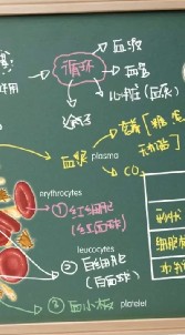 威望健康食品