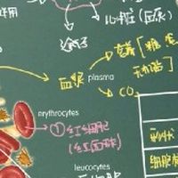 威望健康食品