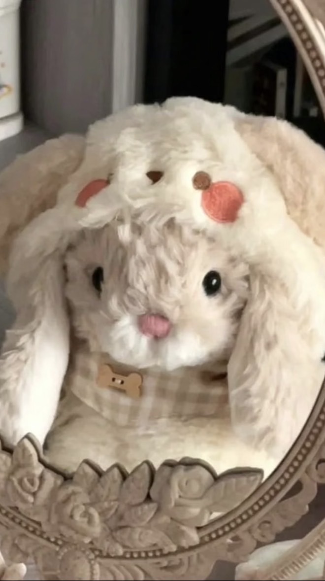 Mizu日本/韓國代購₊⁺ ♡̴₊⁺