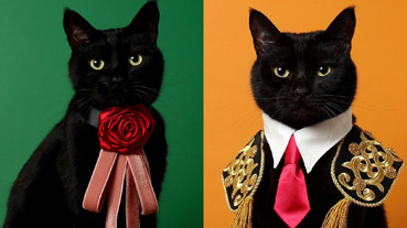 超高顏值「黑貓」被主人縫製各式領結，優雅時尚到爆紅出喵喵專屬寫真書！