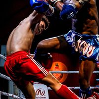 หมัดเด็ด Knockout