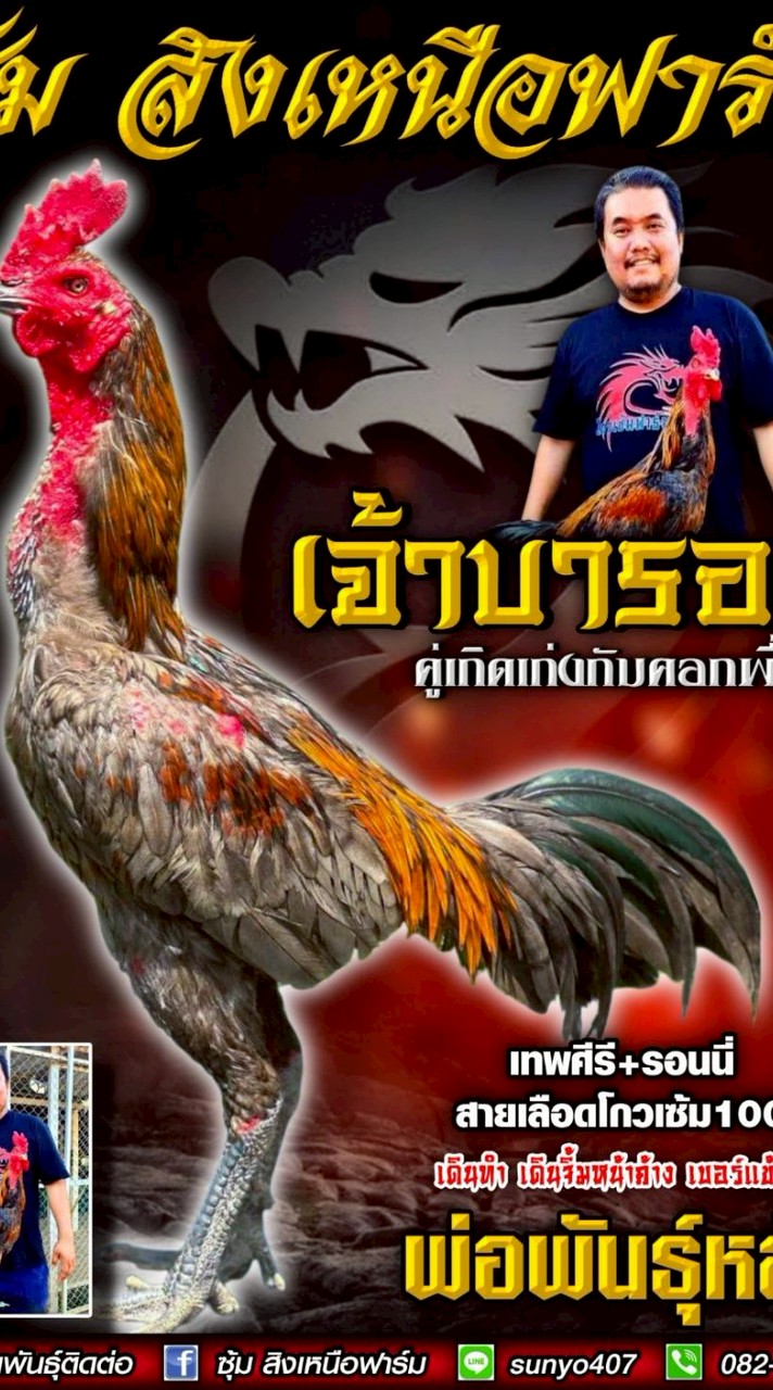 ซุ้ม ขุนศึกเมืองเหนือ