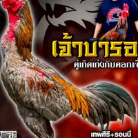 ซุ้ม ขุนศึกเมืองเหนือ