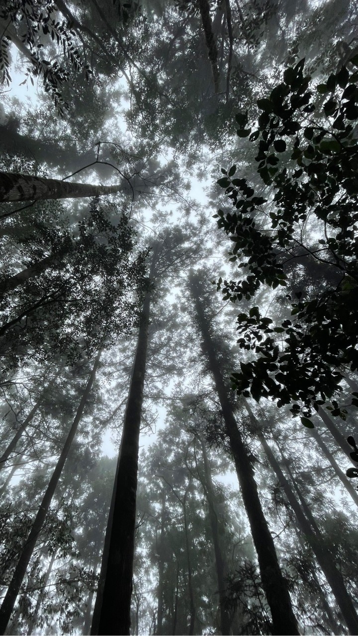 戶外孤兒集中營：野營/登山/衝浪/滑板/潛水/浮潛/朔溪/