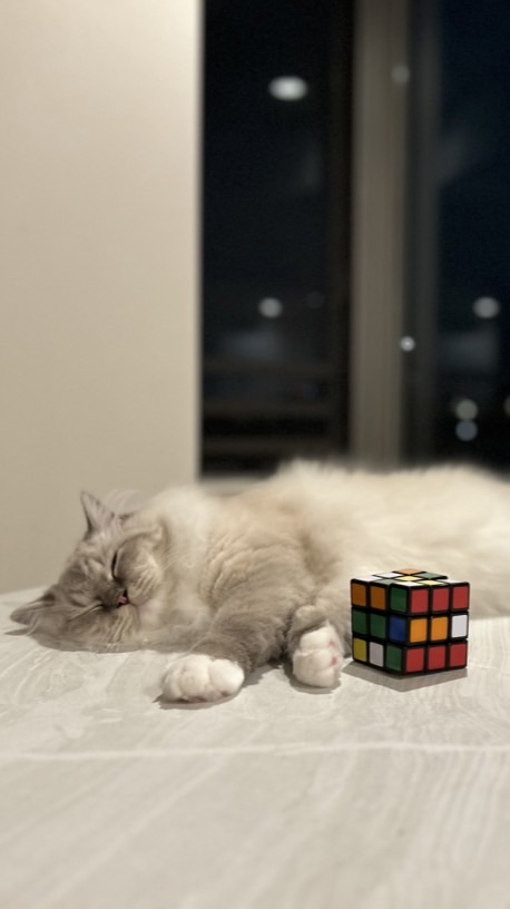 ことなグループ