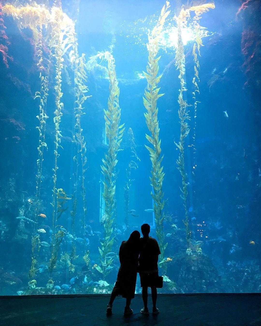 2020博物館IG打卡景點 屏東海生館