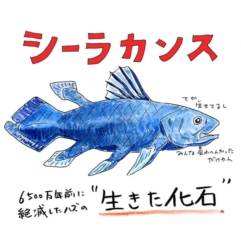 マズすぎて誰も食べなかった シーラカンスが 絶滅しなかった理由 解説したイラストが話題
