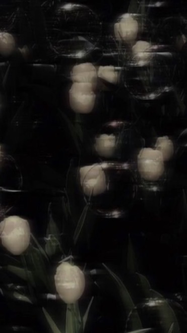RKRN　　⌒　固定/cp