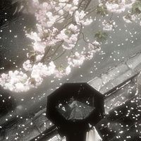 Forsaken RP ୭ ˚. ᵎᵎ