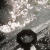 Forsaken RP ୭ ˚. ᵎᵎ