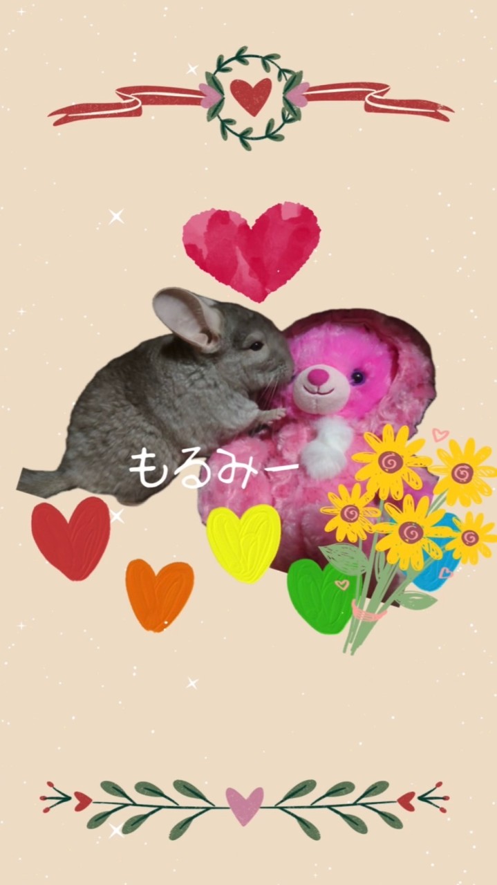 🐹チンチラ初心者部屋🐹