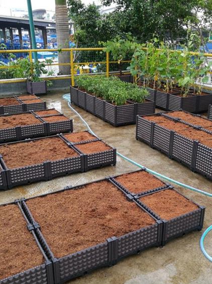 花盆菜園兄弟家庭陽臺種菜箱長方形種植槽樓頂特大花盆有機蔬菜種植箱 LX