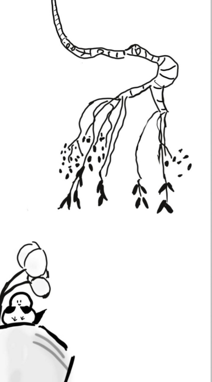 小学生限定イラスト見せ合いっこしよ！