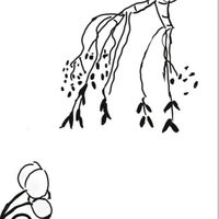 小学生限定イラスト見せ合いっこしよ！