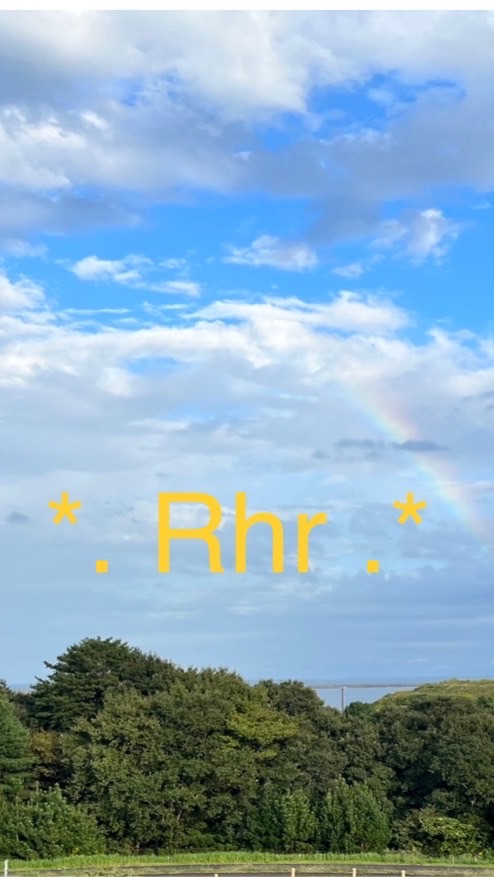 ˚*.꒰Rhr꒱.*˚