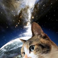 ブランド真贋ラボ