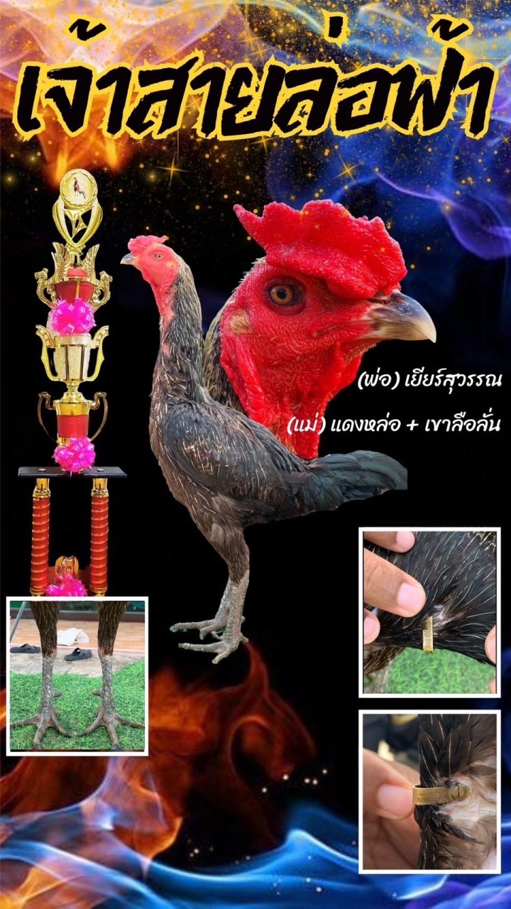 ส.สถิติโชค