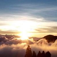 聊療心室