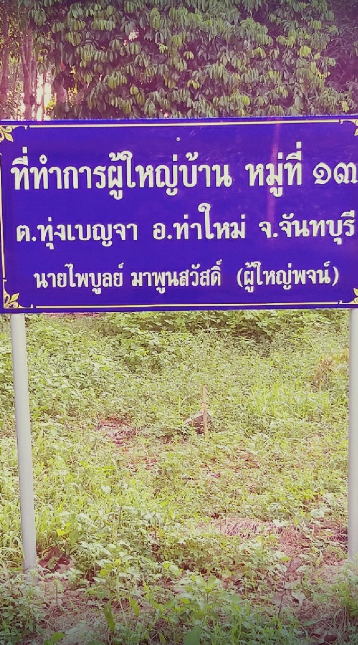 ข่าวสารผู้ใหญ่พจน์