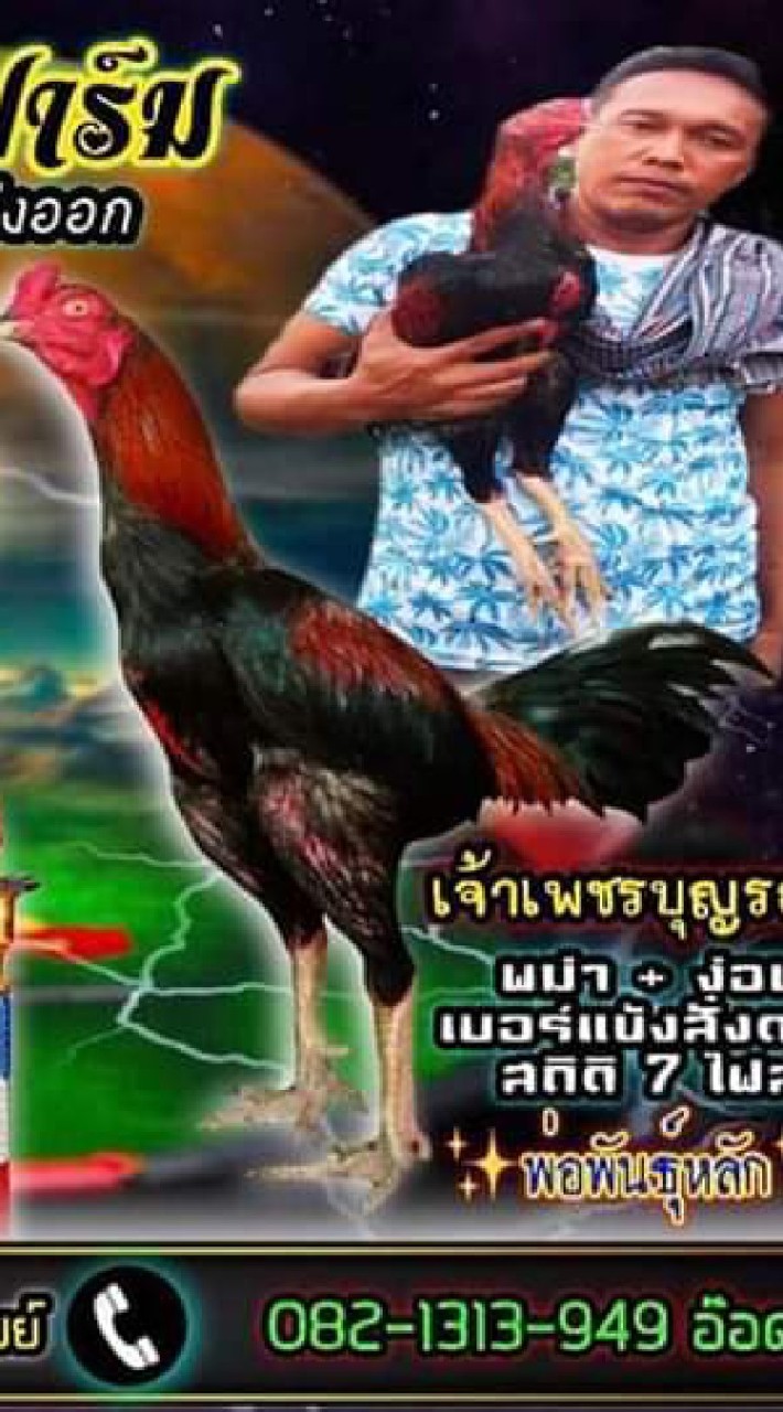 @คนไทยหัวใจไก่ชน