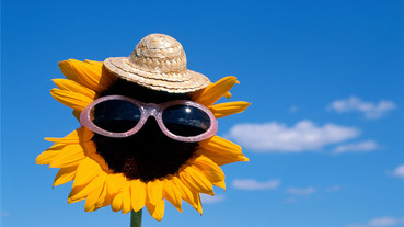 最容易出聖人，人稱小太陽的星座