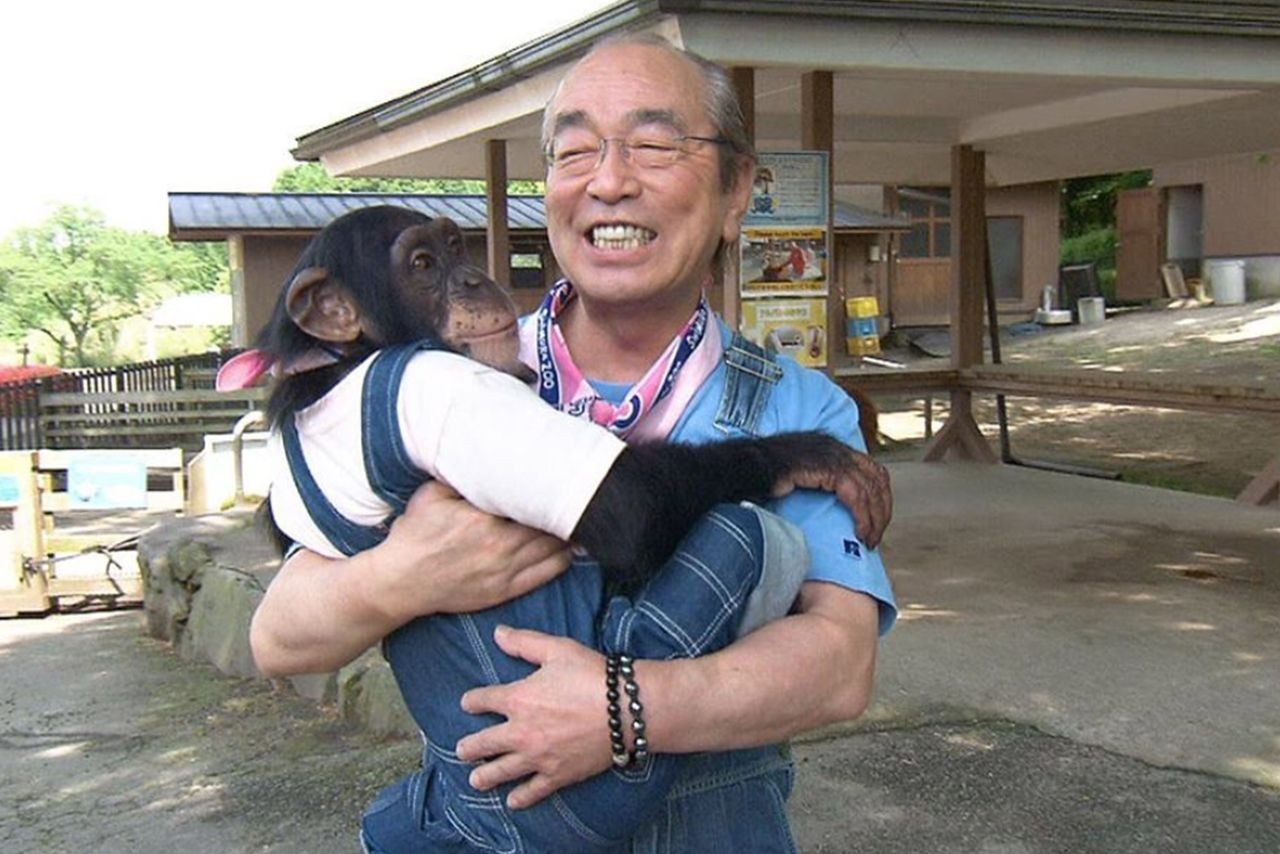 志村どうぶつ園 のチンパンが 強要的なショー