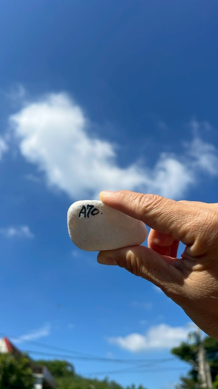 探討筋膜的奧妙學會挑撥離筋、保健、運動、養生、按摩、內臟、自律神經（2020916創）