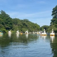 西荻窪で子育てするママたち🐘🍪🕰️