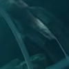原因は君にもあると思うんだ。
