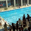 2012年度生まれの水球やってる人カモン