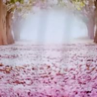 may