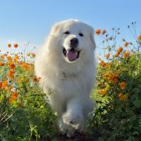 ばべこ動物園