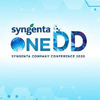 SYNGENTA ONE DD