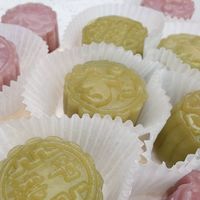 《小寵食育社｜學員問答交流區》