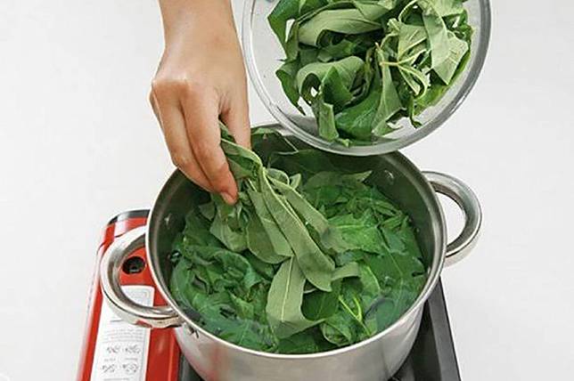 Manfaat obat alami daun singkong untuk kesehatan.