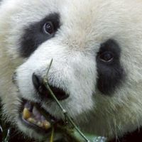 移居高雄談心聚會所