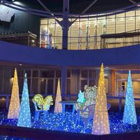 🐈宮城県大崎市 愉快な仲間たち🐾