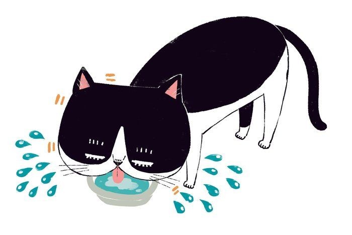 座ったポーズも可愛い ３つの座り方に隠れた猫の気持ち