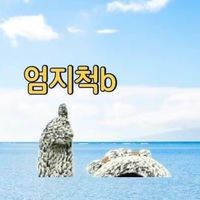 崔金妮（犯規）代購中～