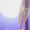 全 緩 也 壁 打 ち