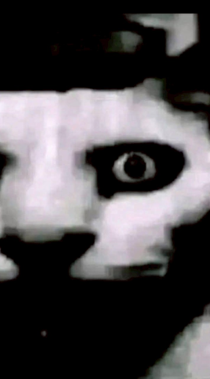 สำหรับเล่นเกม