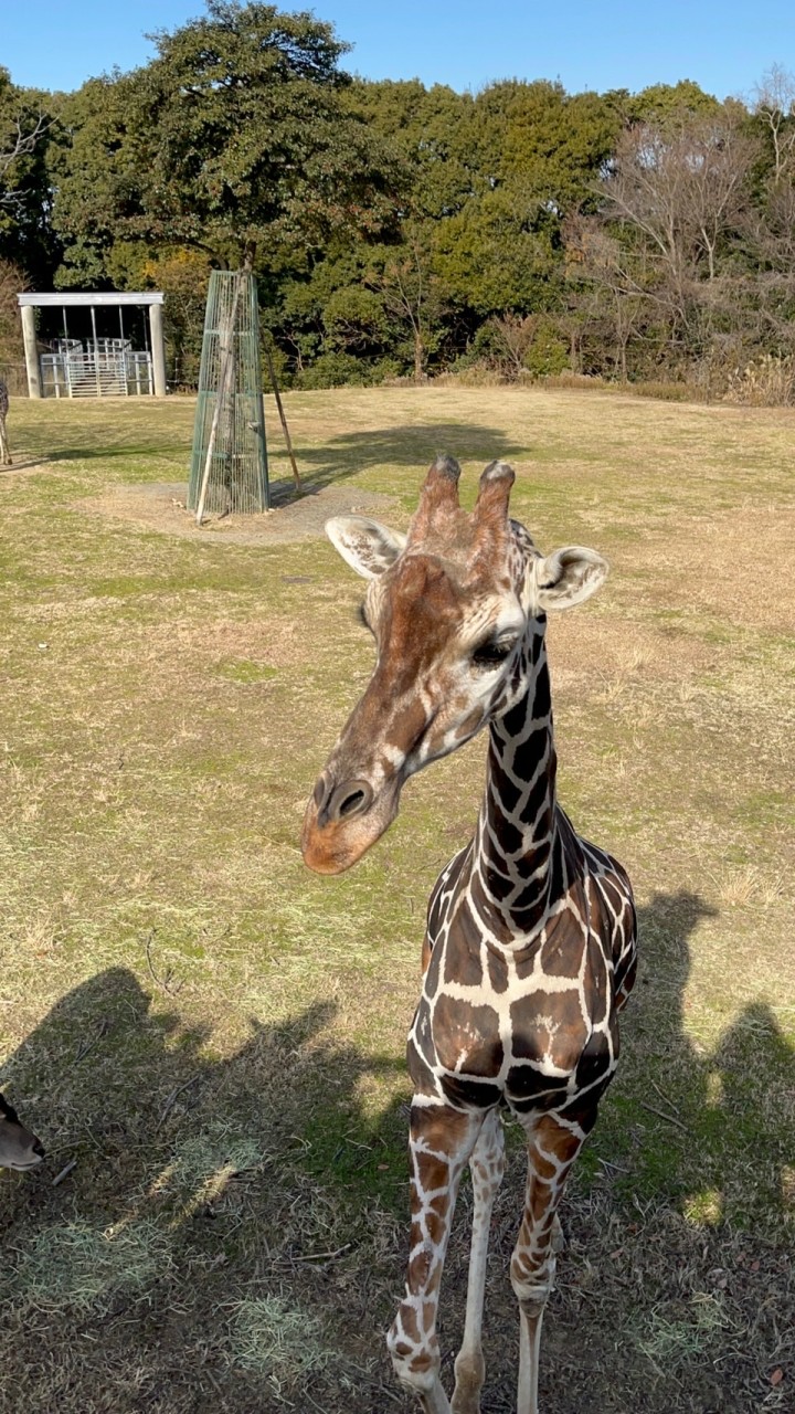 動物園、水族館大好き🦁🐋