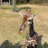 動物園、水族館大好き🦁🐋
