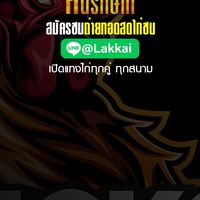 ไก่รักษ์คน คนรักษ์ไก่  ชมไก่ชน