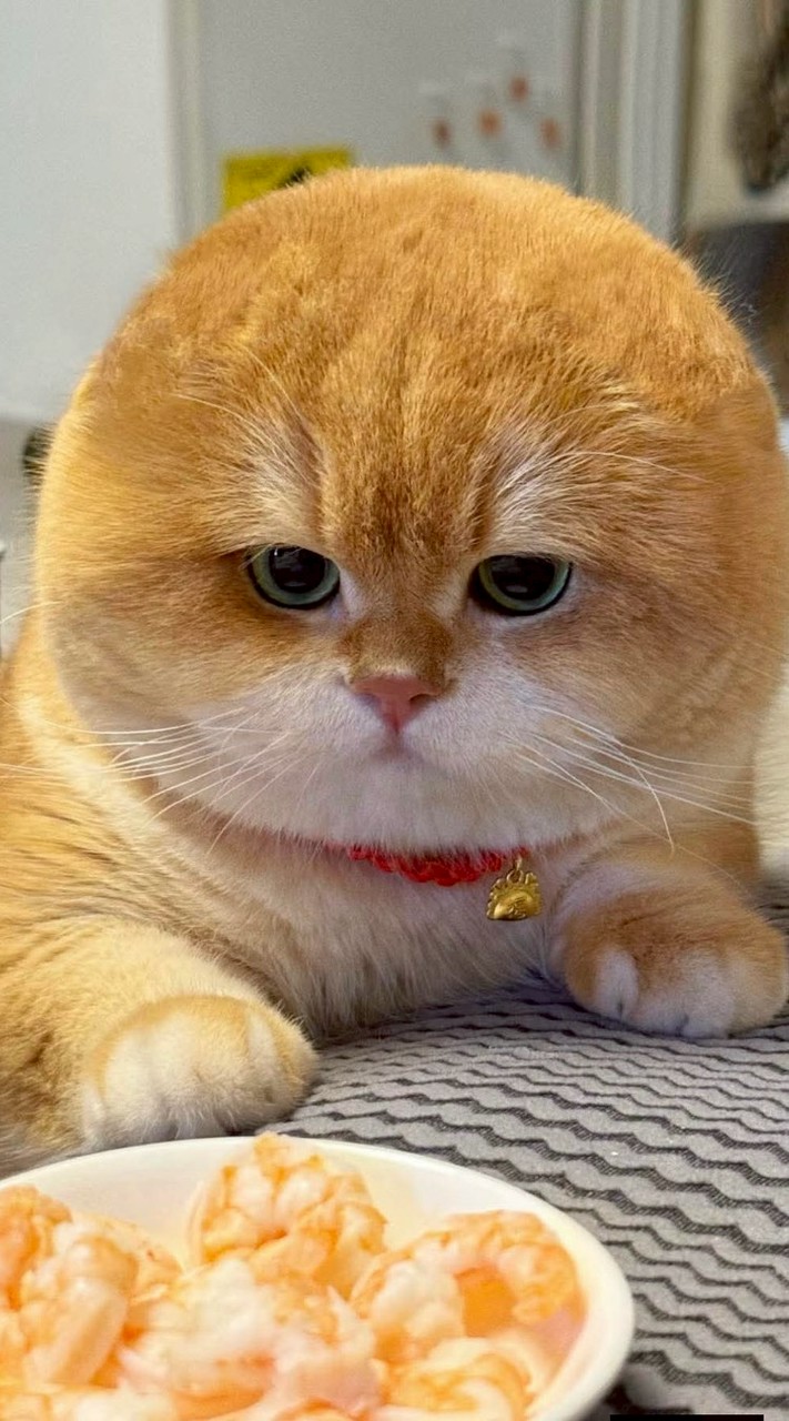 ออม Chat