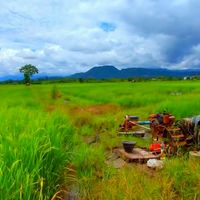 หนองด่านประชาร่วมใจ